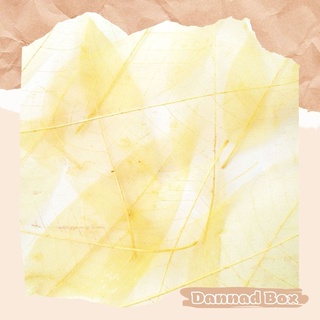 Set 5 lá ép khô dùng trang trí decor resin diy