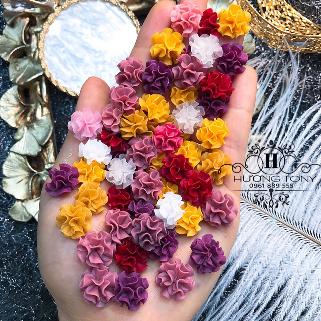 hoa bột cẩm tú cầu