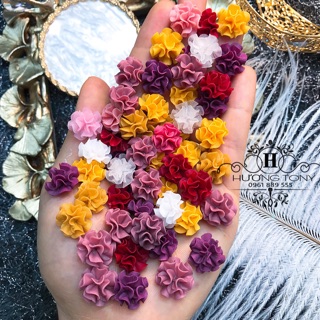 Hoa bột cẩm tú cầu
