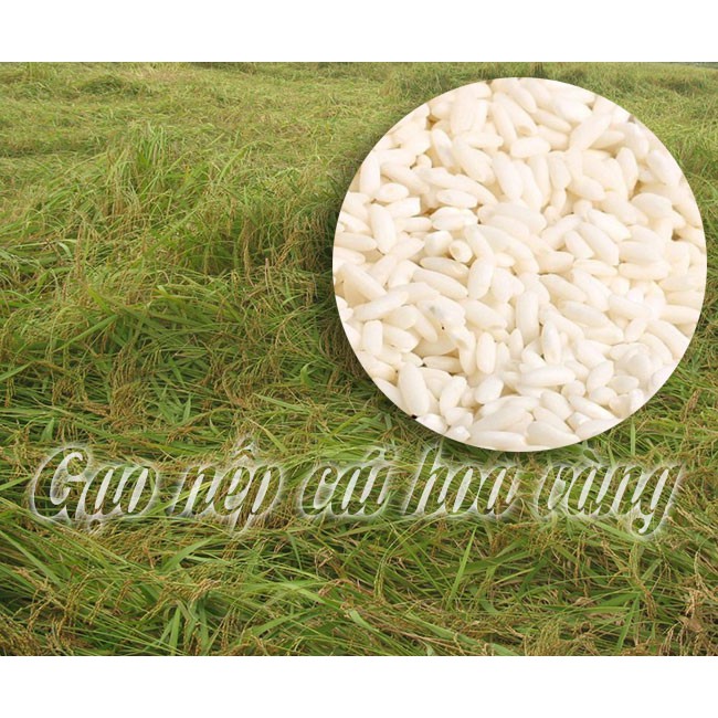 Gạo Nếp Cái Hoa Vàng nguyên cám [Hữu Cơ Gói 1Kg] - Thơm ngon, dẻo, không chất bảo quản