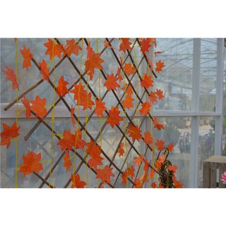 Dây leo lá phong giả chiều dài 2.4m