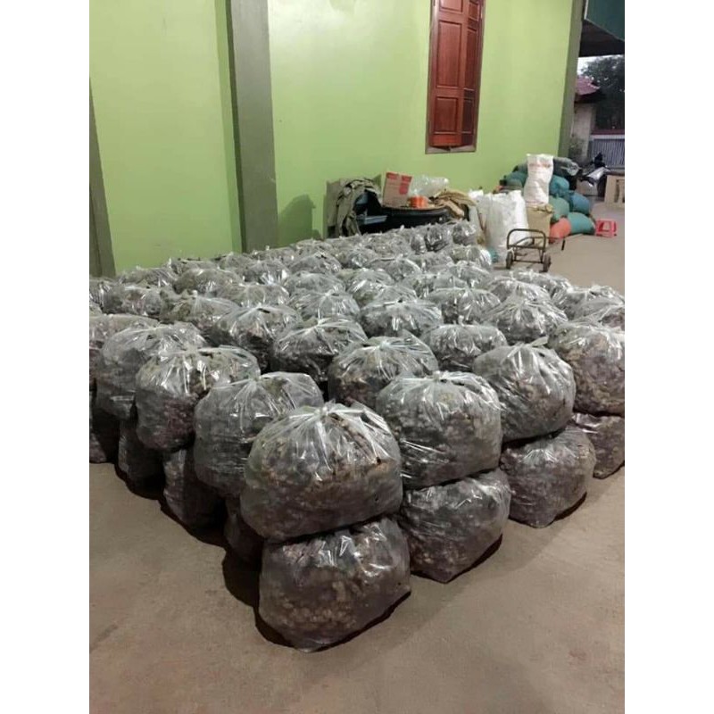 100g gừng sẻ củ nhỏ siêu cay Dak Lak | BigBuy360 - bigbuy360.vn