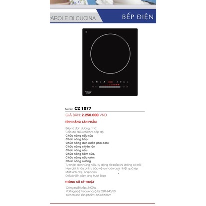 Bếp Từ Đơn Cao Cấp CANZY CZ1077