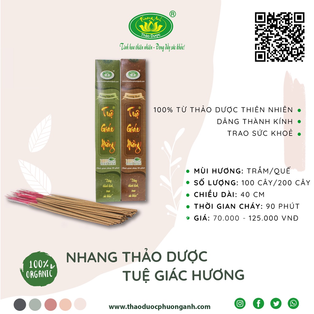 Nhang sạch thảo dược Tuệ Giác Hương 40cm mùi Trầm Bắc/Quế hộp 100/200 cây