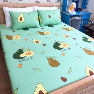 Ga chống thấm cotton 100% ( size ngoại cỡ)