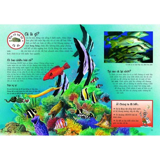 Sách - Khám Phá Thế Giới Động Vật (TB) - Đông A