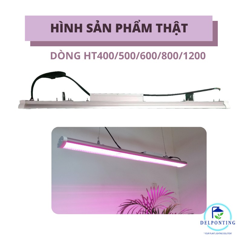 Đèn LED Trồng Cây Trong Nhà DELPONTING HT1200 LED 200W Đèn Quang Hợp Cho Cây, Rau, Thuỷ Canh, Sen Đá,..