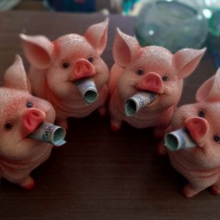 Heo Đất Tiết Kiệm