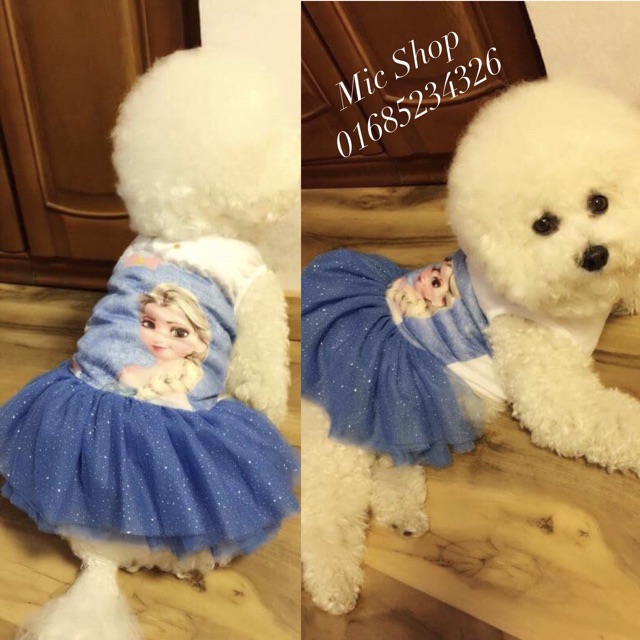 Váy Elsa cho thú cưng