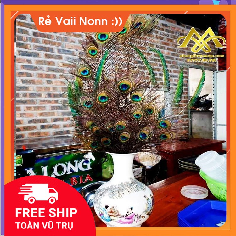 LÔNG CÔNG PHONG THỦY 🌿 FREESHIP 🌿 GIẢM CHỈ CÒN 5K/ CÀNH LÔNG CÔNG 100% TỰ NHIÊN (LÔNG CÔNG ĐẸP) | BigBuy360 - bigbuy360.vn