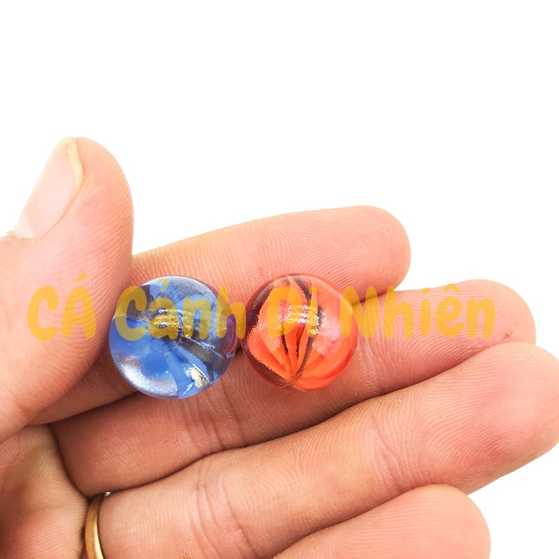 Viên bi ve 8 khía 200 gram  size 1.6 cm trang trí hồ cá