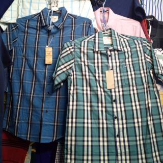 Áo Hollister bigsize 155k
