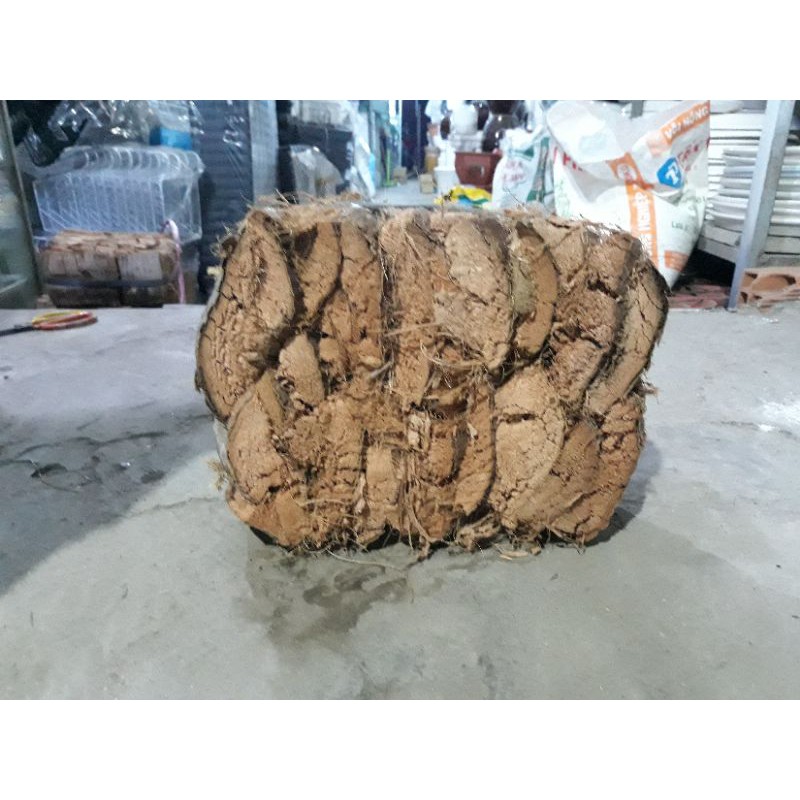 Vỏ Dừa Nguyên Miếng To  1KG Dùng Trồng Lan,Ốp Vào Cây Cảnh