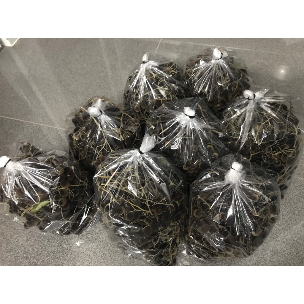 Say nhung rừng 500gr Nhii Food đồ ăn vặt chua chua ngọt ngọt | BigBuy360 - bigbuy360.vn