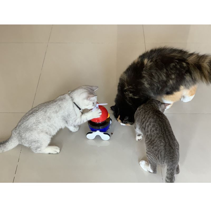 💝 (MẪU MỚI) ĐỒ CHƠI MÈO, CON LẬT ĐẬT RÒ RỈ THỨC ĂN CHO MÈO - LOVE PETS SHOP 💝