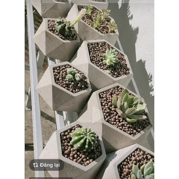 Khuôn chậu abs mini dùng trồng cây mini, sen đá