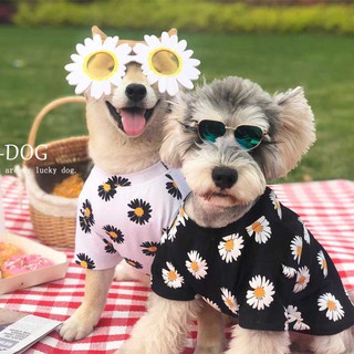 Áo hoa cúc daisy siêu dễ thương cho chó mèo