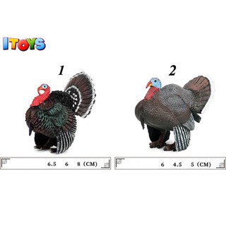 Mô hình gà tây, mô hình động vật ITOYS