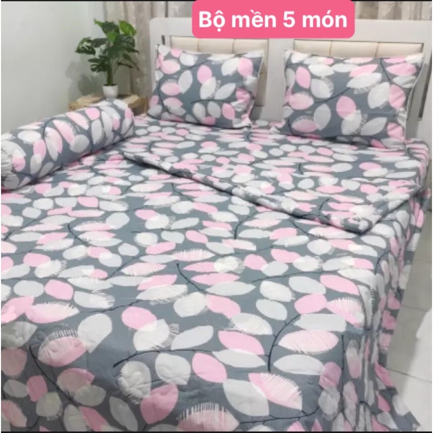 Bộ Drap Cotton Thắng Lợi Kèm Mền Chần Gòn {chuẩn logo CTY} được chọn màu