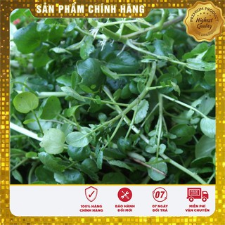 Bộ gói hạt giống Rau mầm cải xoong