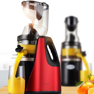 Máy ép chậm hoa quả Hongxin RH-312, ép rau củ hoa quả, máy ép chậm trái cây