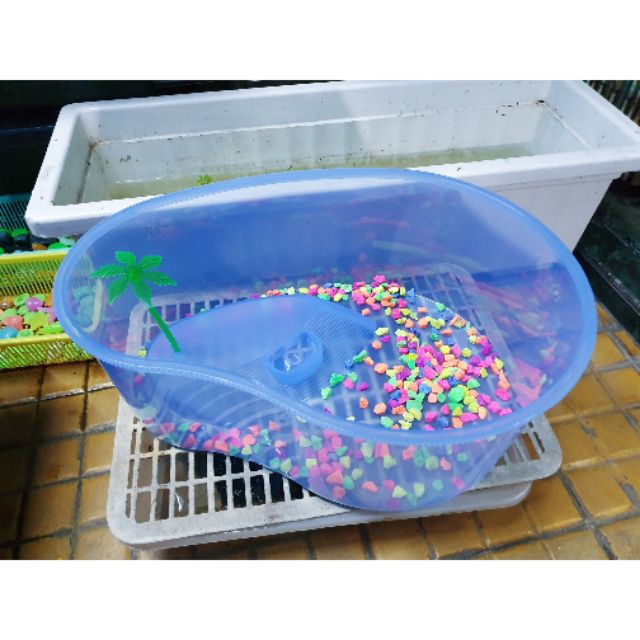 BỂ NUÔI RÙA BABA THÚ CƯNG 38x28x14cm