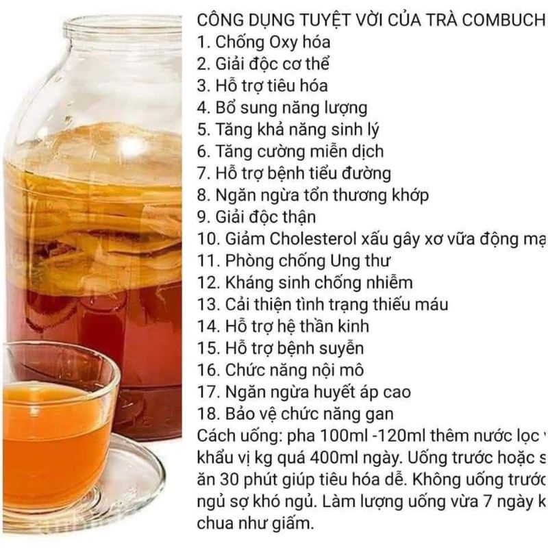 Trà lên men Kombucha trà đen Viethealthy 1 lít túi tiện lợi,tốt cho sức khoẻ, bổ sung lợi khuẩn Probiotic