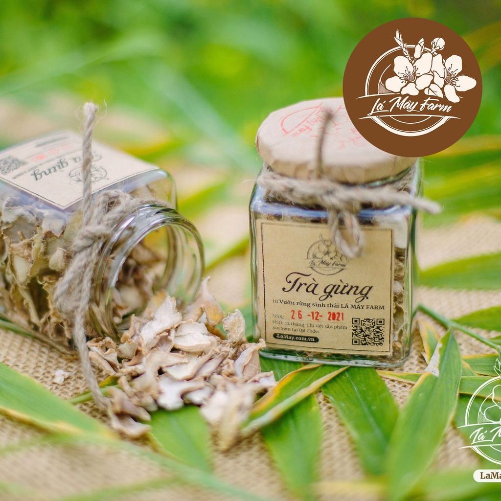 TRÀ GỪNG giữ ấm cơ thể hỗ trợ tiêu hóa - Sạch lành từ Vườn rừng Lá Mây Farm