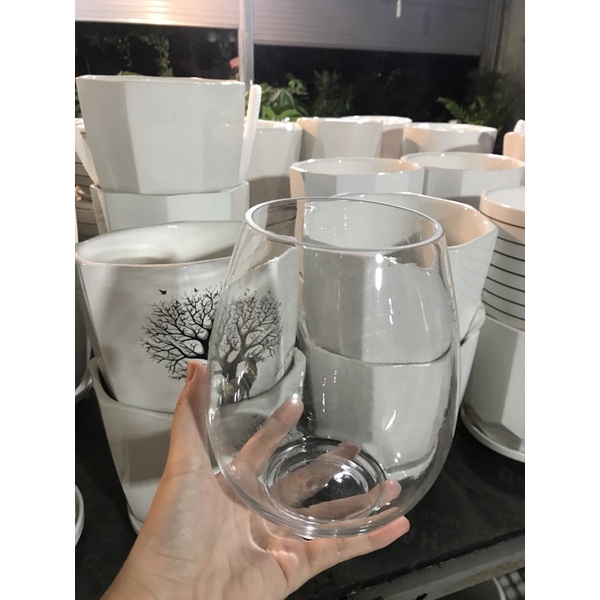 Bình thuỷ tinh miệng khum trồng cây thuỷ sinh, nuôi cá nhỏ