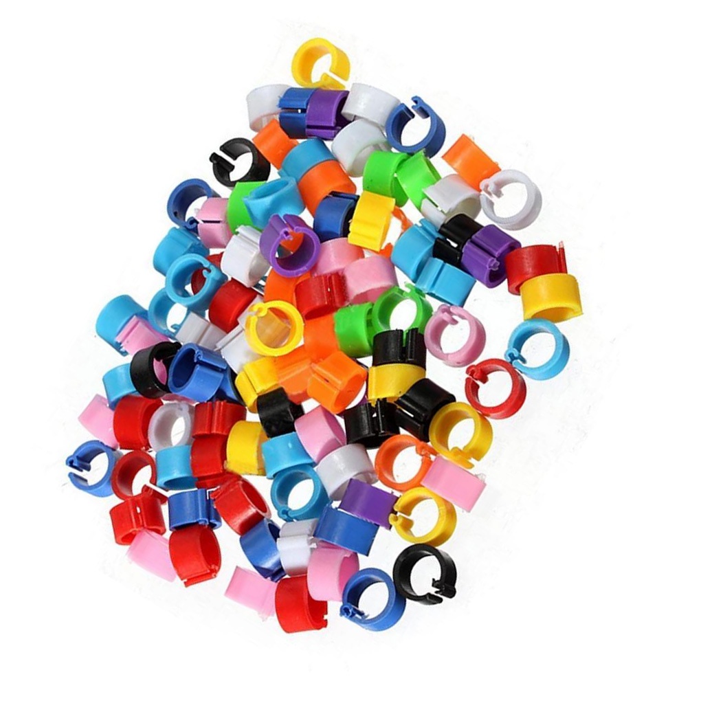 Set 100 vòng nhựa đeo chân cho chim bồ câu tiện dụng