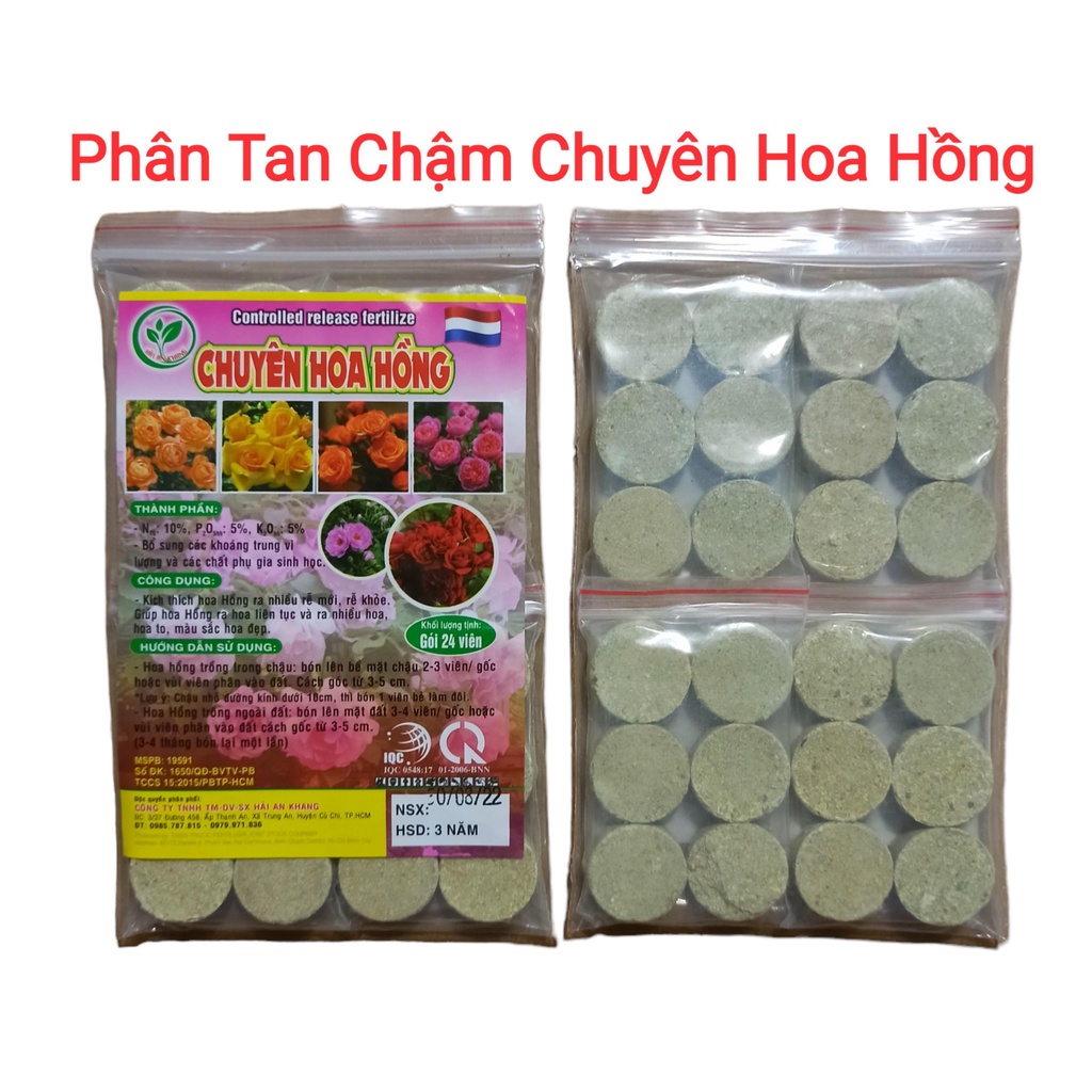 Phân bón tan chậm chuyên hoa hồng - Bịch 24 viên kích thích ra rễ, hoa nhiều màu đẹp - Công nghệ Hà Lan