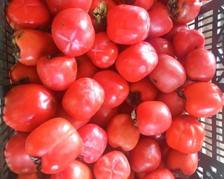 Hồng sấy dẻo ( 1kg)_HÌNH THẬT