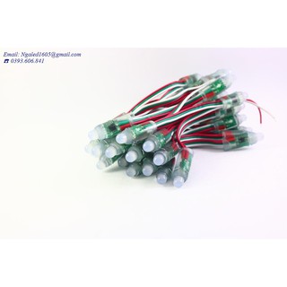 Led đúc phi 8 full color