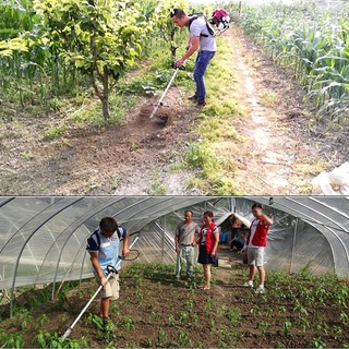 Đầu xạc cỏ cánh chéo dùng để xới đất, làm cỏ