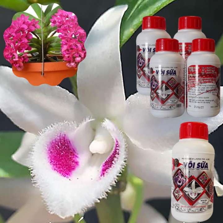 VÔI SỮA: Phân Bón Lá cao Cấp - Rửa Vườn, Diệt Khuẩn, Làm Khô Vết Bệnh, Nâng pH, Cung Cấp Trung Vi Lượng -  Chai 250ml