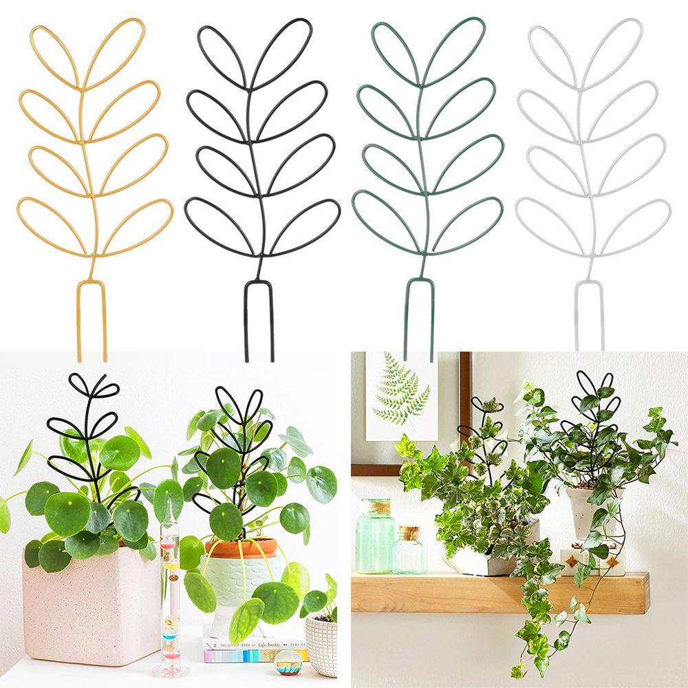 Chậu Trồng Cây Dây Leo Sáng Tạo Trang Trí Nhà Cửa