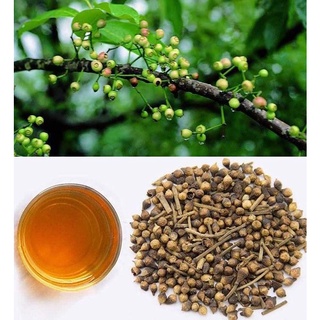 1kg Trà Nụ Vối Khô, Sạch