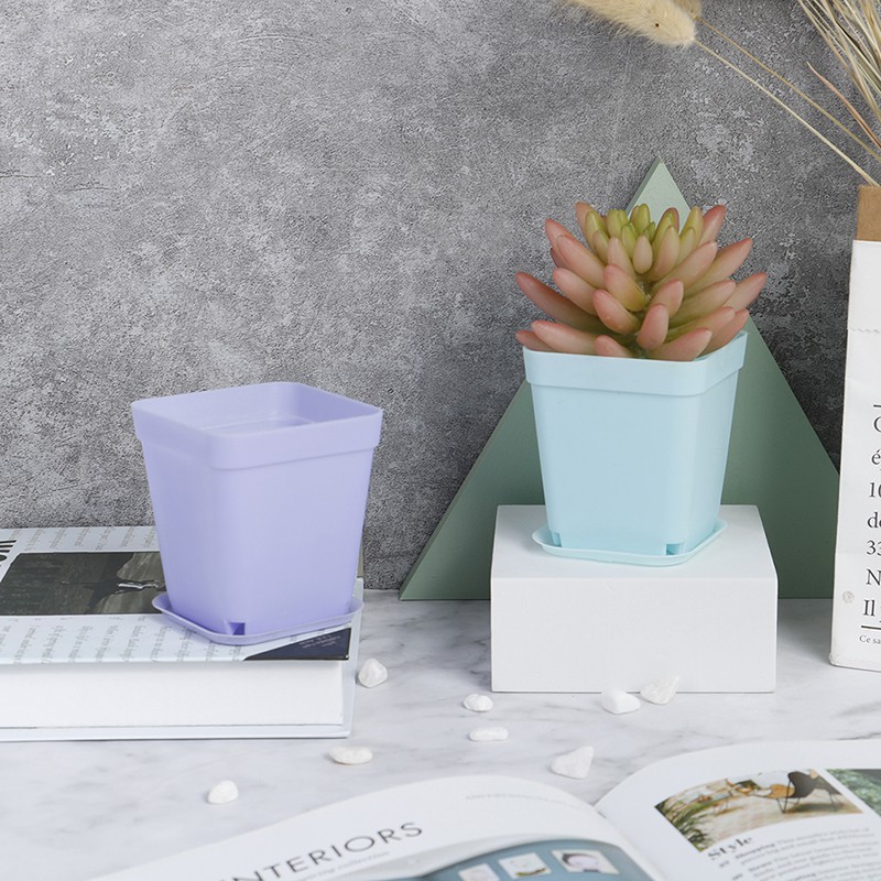 Set 5 Chậu Hoa Mini Bằng Nhựa Dùng Để Trang Trí