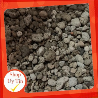Đá pumice kg🔥 |FREESHIP 🌺 HÀNG UY TÍN | LỖI 1 ĐỔI 1