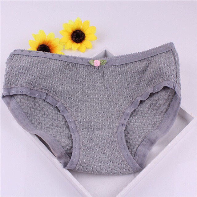 Quần Lót Cotton Sợi Bông Co Giãn Kháng Khuẩn 1980.