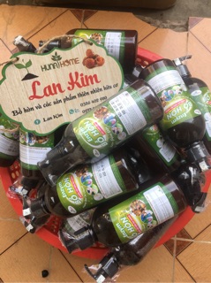 Bồ hòn tách hạt loại 1