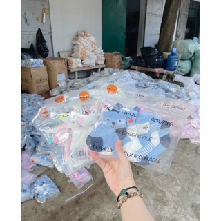 Set 5 tất lưới hè thu cao cấp cổ cao cho bé