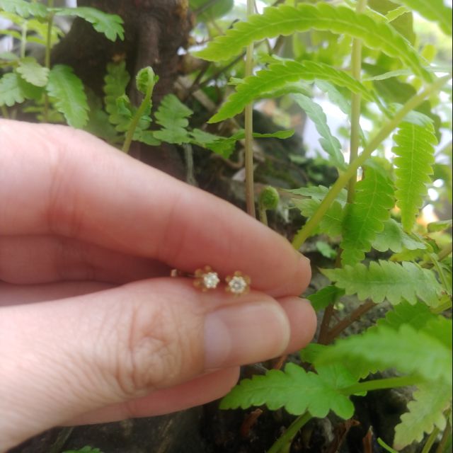 Bông tai Kim cương