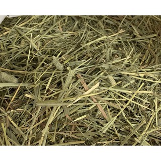 Cỏ khô Timothy (1kg)