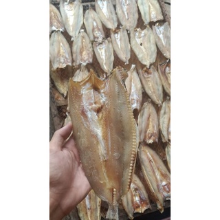 Khô cá mối mặn vừa ăn