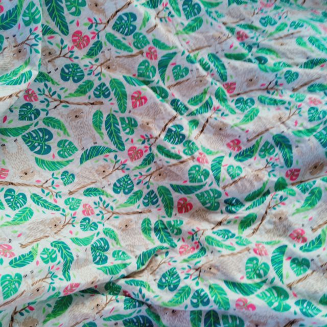 Vải thun cotton