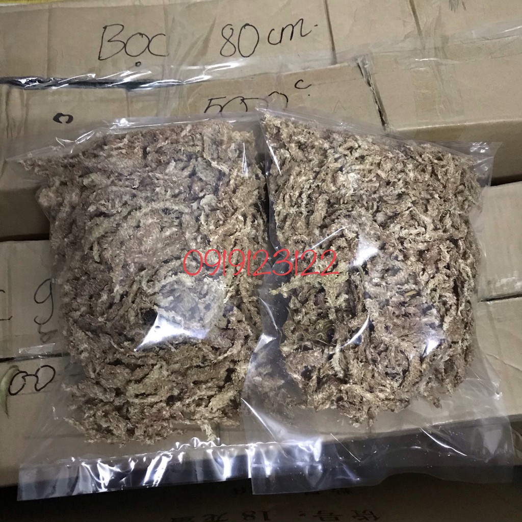 100g Rêu sâu trắng Chile giữ ẩm cho lan