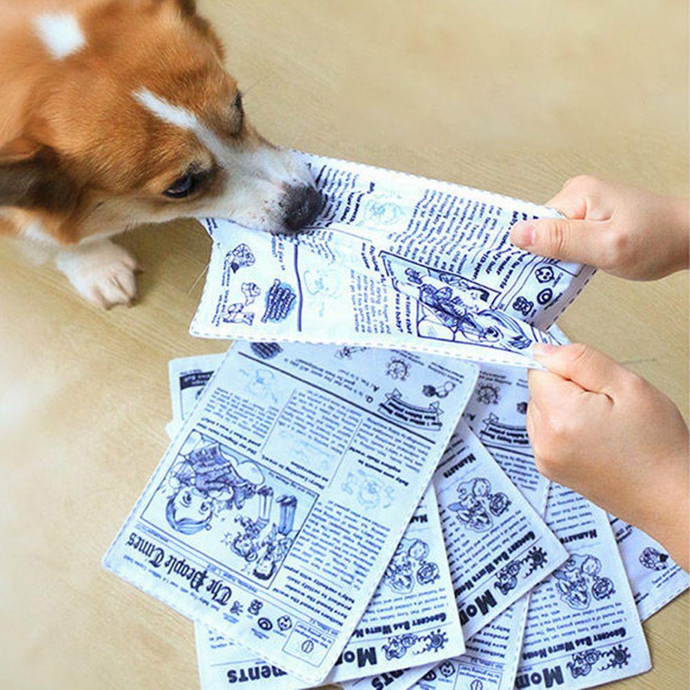 Tờ Báo Đồ Chơi Chống Cắn Thay Thế Vui Nhộn Cho Cún Cưng