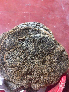 Bánh đa vừng đen