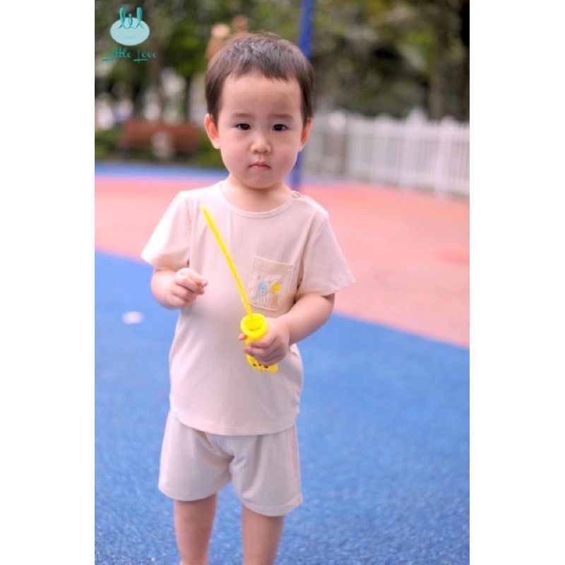 Bộ cộc tay vải tăm in hình túi Little Love